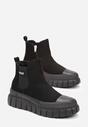 Botine Negre