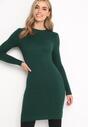 Rochie Verde închis