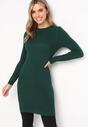 Rochie Verde închis