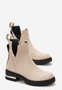 Botine Bej