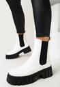 Botine Albe