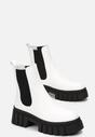 Botine Albe