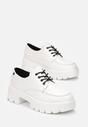 Pantofi casual Albi