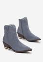 Botine Albastre