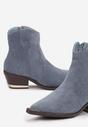 Botine Albastre