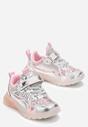 Pantofi sport Argintiu cu roz