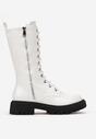 Botine Albe
