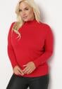Czerwony Sweter z Golfem Erimessa