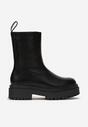 Botine Negre