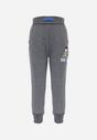 Pantaloni Gri