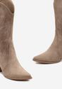 Botine Bej
