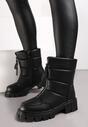 Botine Negre