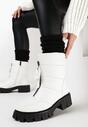 Botine Albe