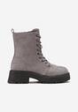 Botine Gri