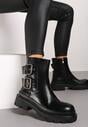Botine Negre