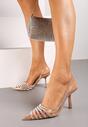 Pantofi stiletto Culoarea șampaniei