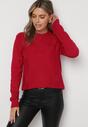 Pulover Bordo