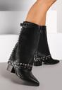 Botine Negre