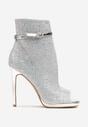 Botine Argintii