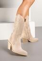 Botine Bej