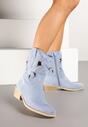 Botine Albastre