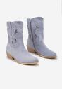 Botine Albastre