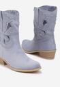 Botine Albastre