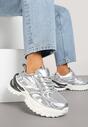 Sneakers Argintii