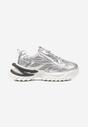 Sneakers Argintii
