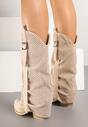Botine Bej