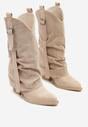 Botine Bej