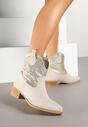 Botine Argintii