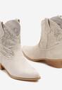Botine Argintii