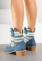 Botine Albastre