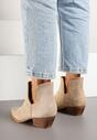 Botine Bej