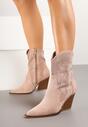Botine Roz