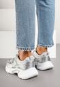 Sneakers Argintii