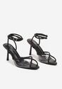 Pantofi stiletto Negri