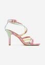 Pantofi stiletto Culori mixte