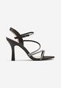Pantofi stiletto Negri