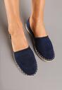 Espadrile Albastre