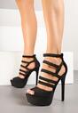 Pantofi stiletto Negri