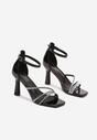 Pantofi stiletto Negri