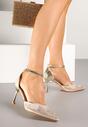 Pantofi stiletto Aurii