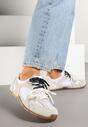 Sneakers Gri
