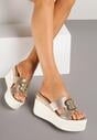 Arany Papucs