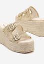 Arany Papucs