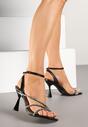 Pantofi stiletto Negri