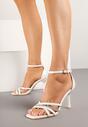 Pantofi stiletto Albi