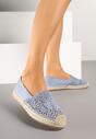 Espadrile Albastre